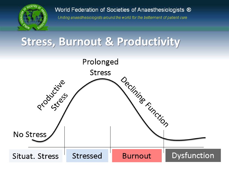 Stress, Burnout & Productivity